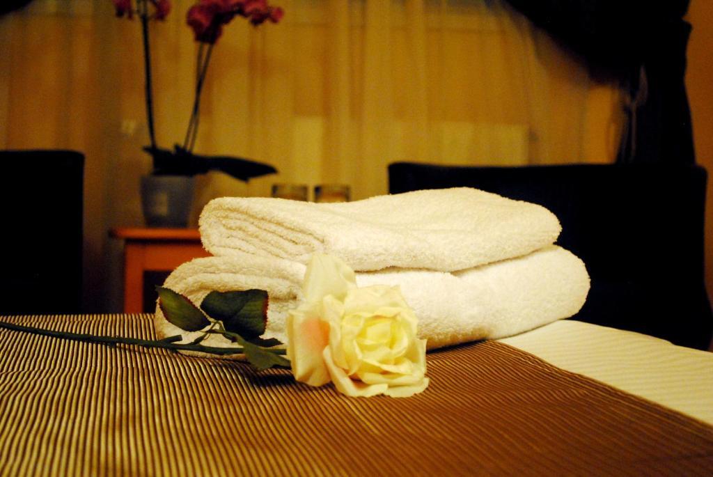 Hotel Vandia Timisoara Esterno foto